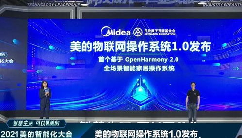 雪中送炭 4800億巨頭接入鴻蒙，華為網絡技術開發的堅守終見曙光